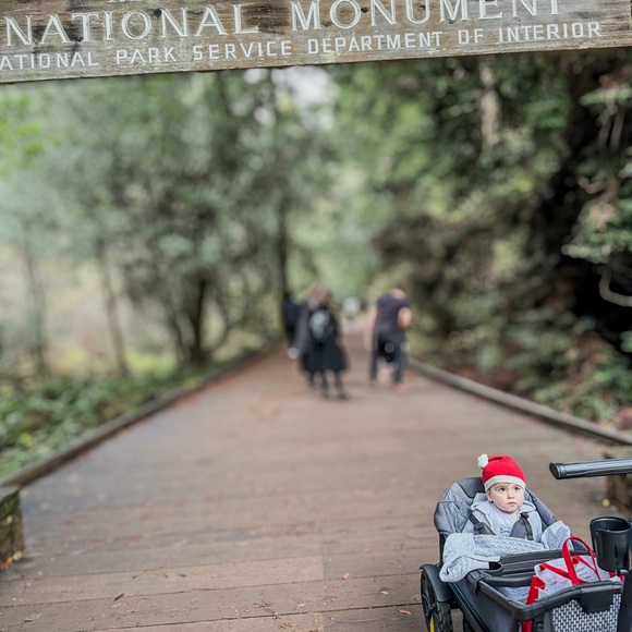 ⭐️ I’M LIVE ⭐️ - Picture 10 of 11